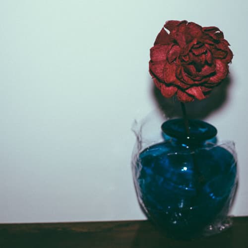 Room 407 | A Curious Case Of Melancholy artwork