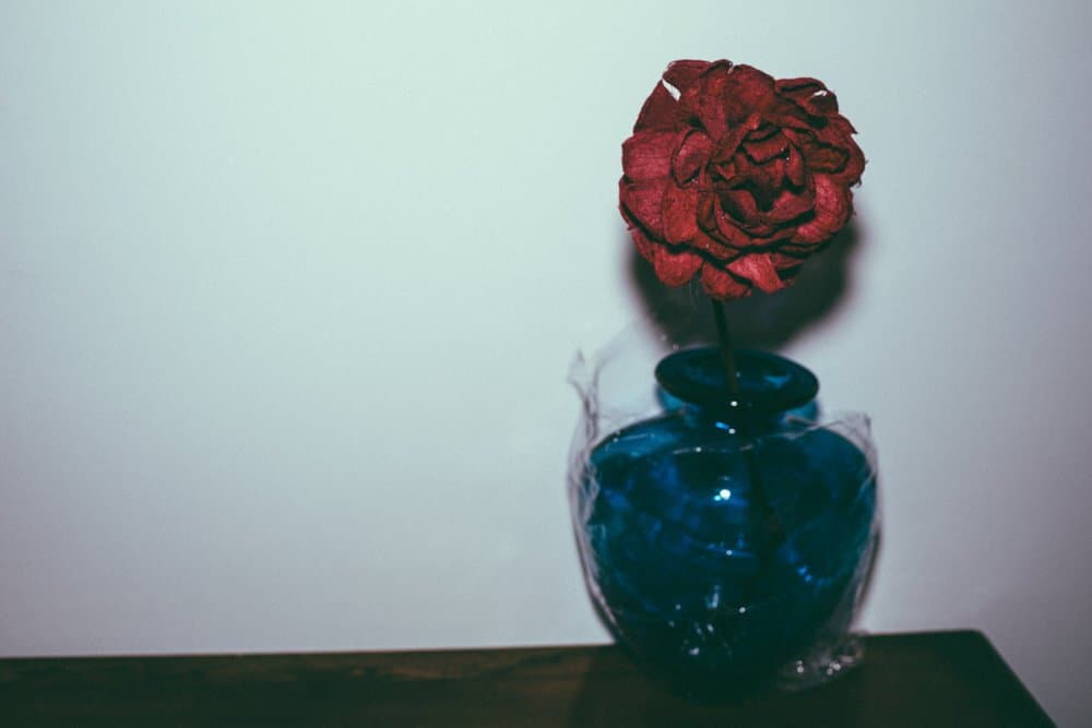 RAW Films showreel still, Room 407 Red Rose